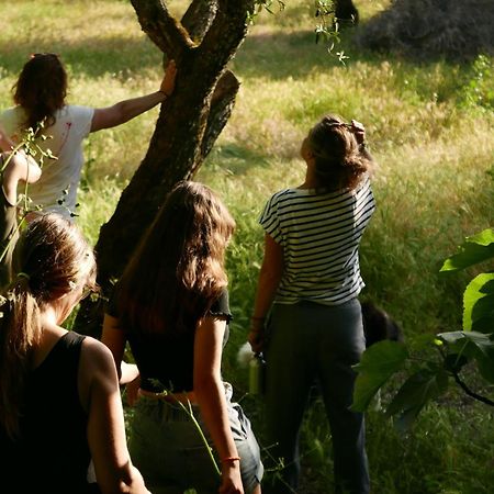 Casa Do Meio Em Quinta De Sao Pedro De Vir-A-Corca Monsanto Kültér fotó