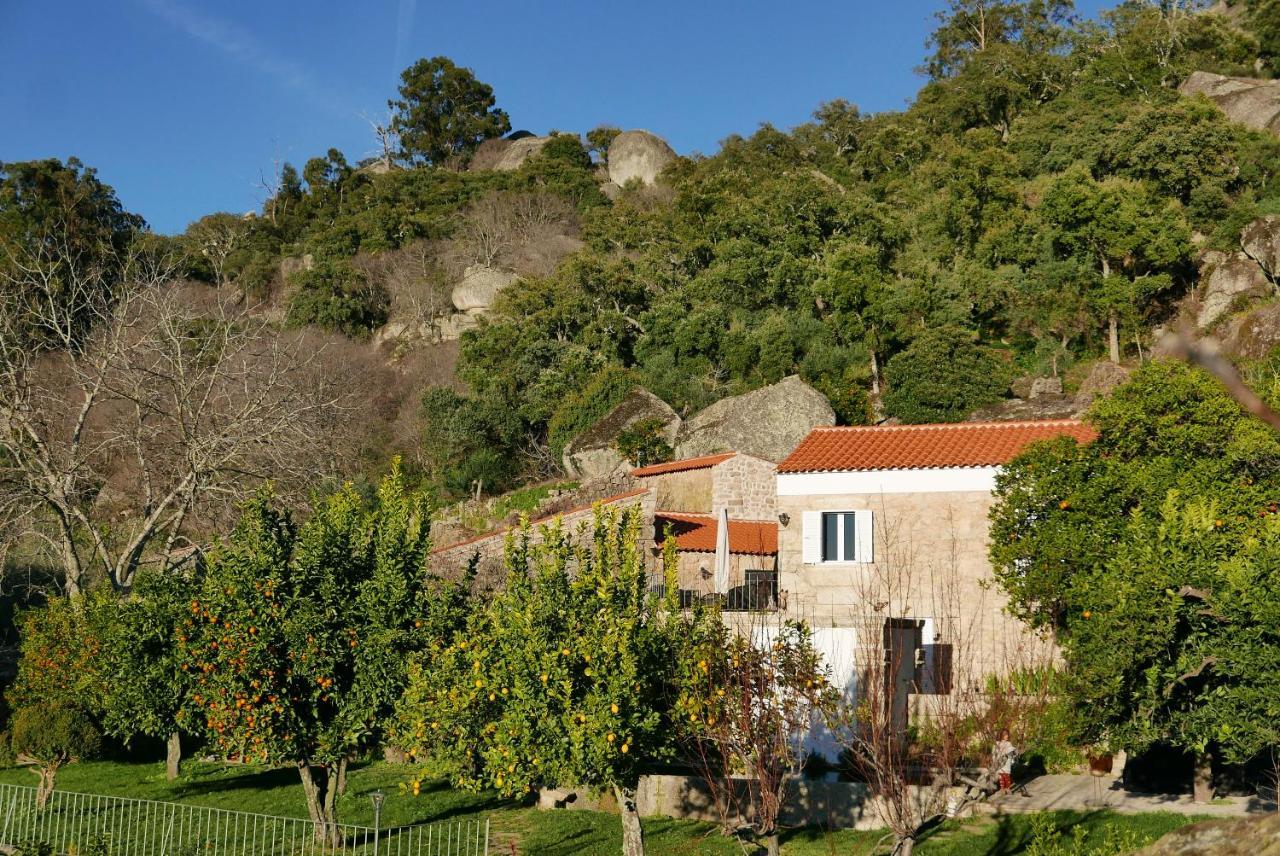 Casa Do Meio Em Quinta De Sao Pedro De Vir-A-Corca Monsanto Kültér fotó