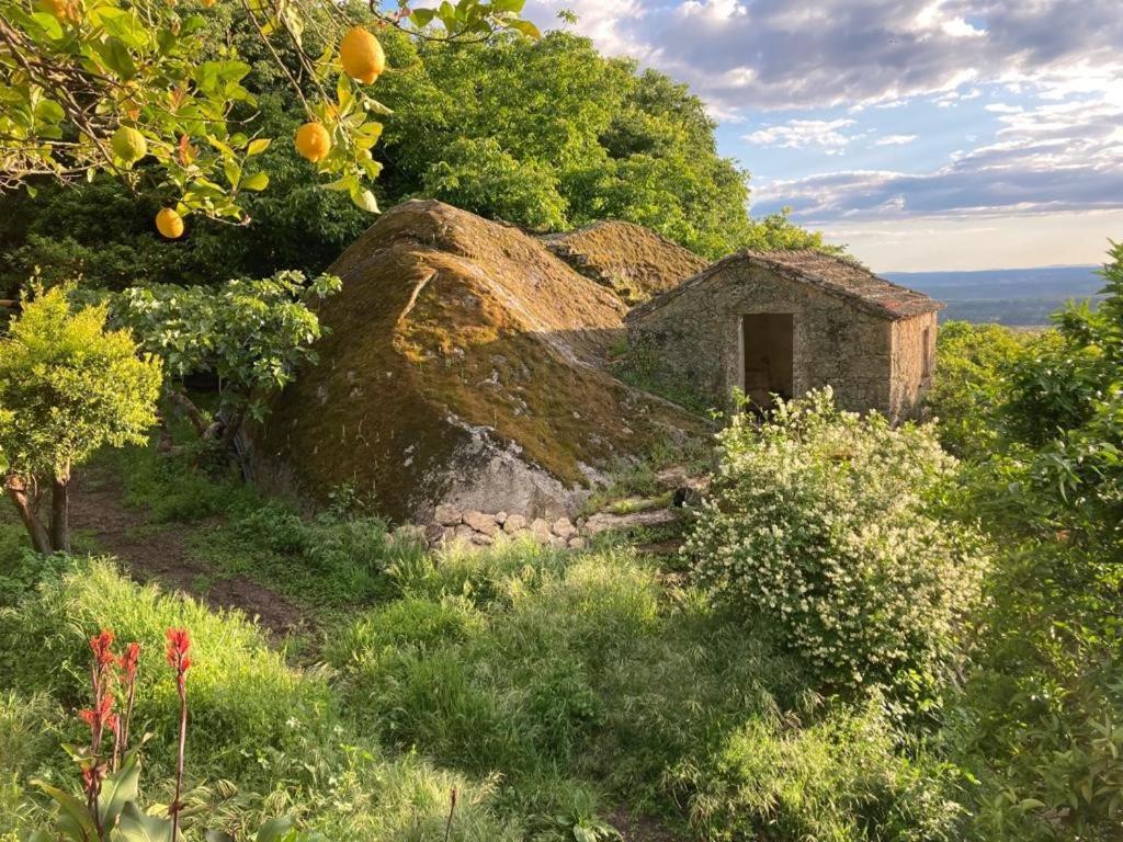 Casa Do Meio Em Quinta De Sao Pedro De Vir-A-Corca Monsanto Kültér fotó