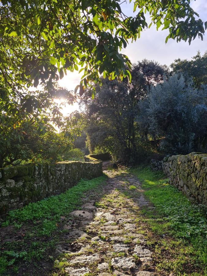 Casa Do Meio Em Quinta De Sao Pedro De Vir-A-Corca Monsanto Kültér fotó