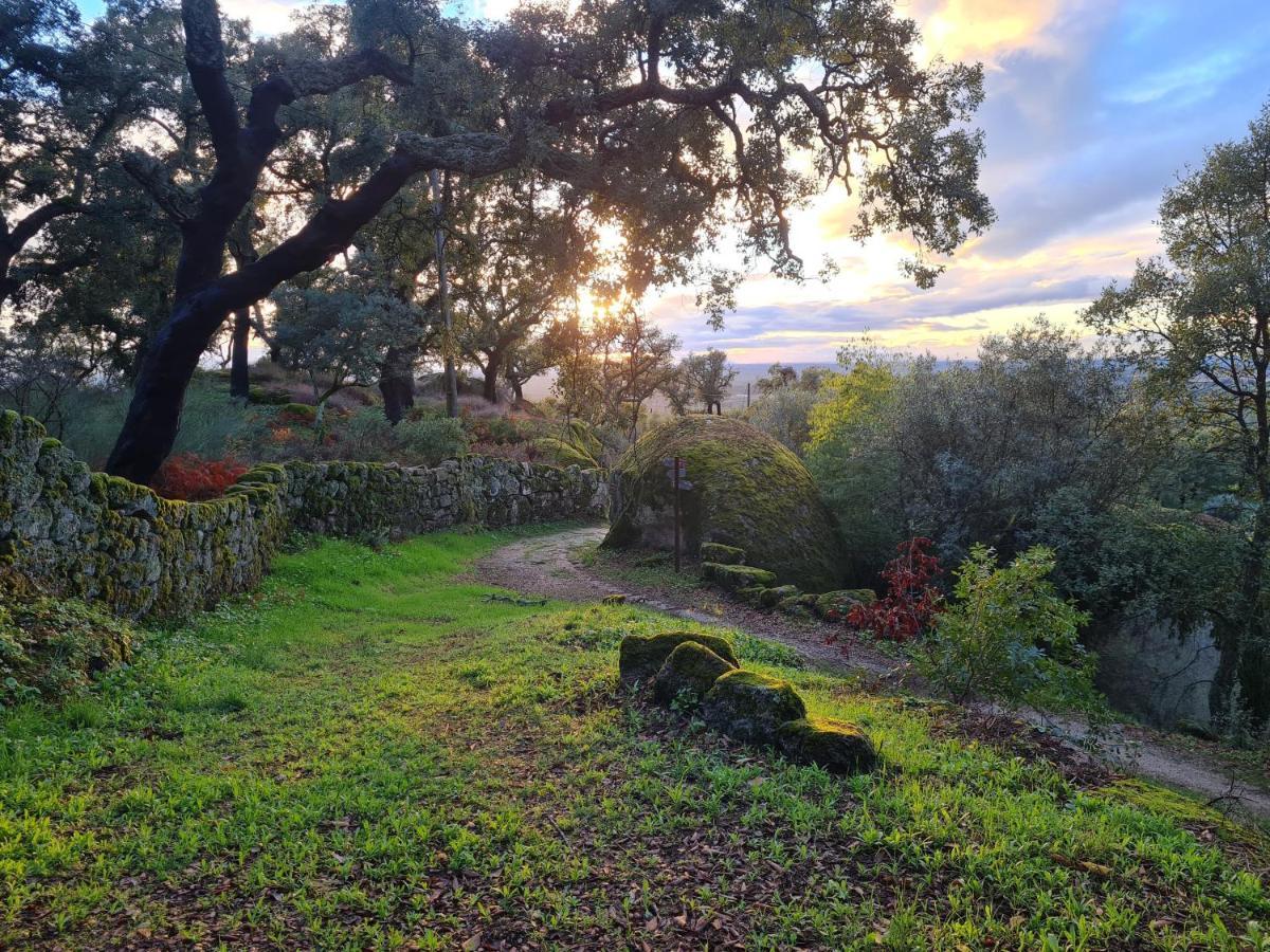Casa Do Meio Em Quinta De Sao Pedro De Vir-A-Corca Monsanto Kültér fotó